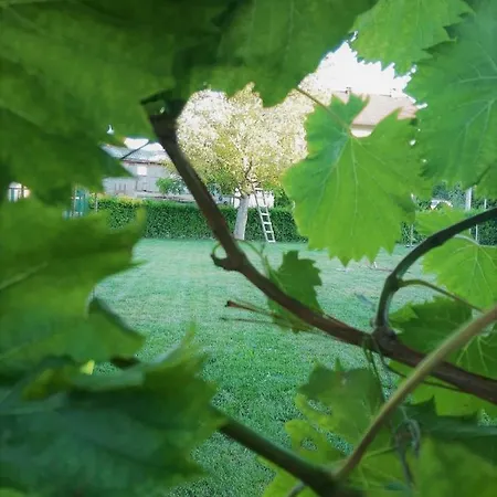 Kuca Nina Villa Tomislavgrad